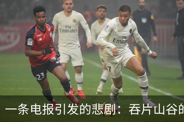 一条电报引发的悲剧：吞片山谷的教训